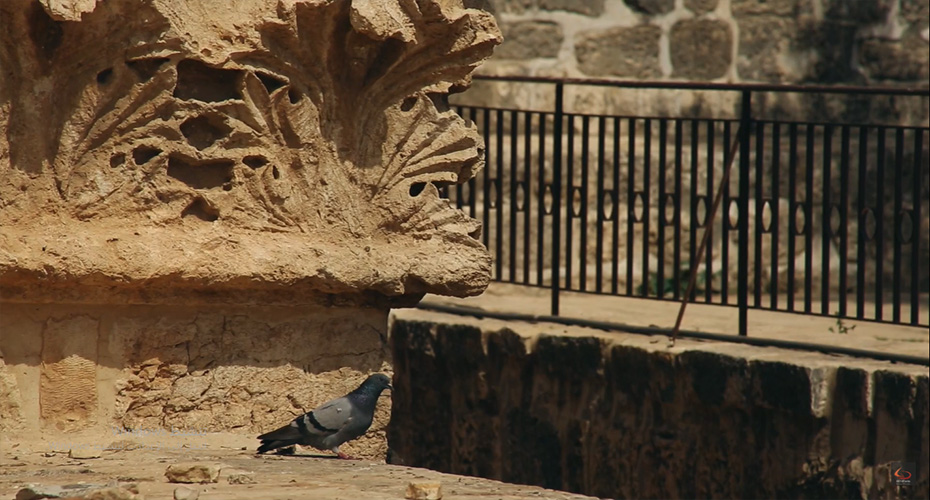 Masjid Al Aqsa Gates 3